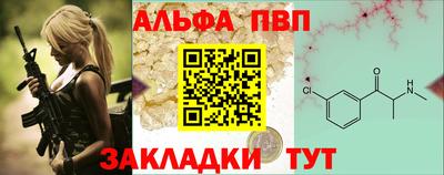 кокс Кингисепп