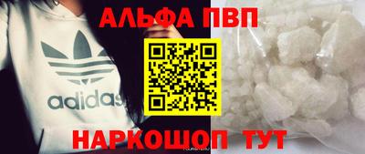 кокс Кингисепп