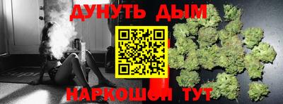 кокс Кингисепп