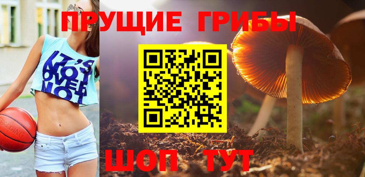 Галлюциногенные грибы мухоморы Коряжма