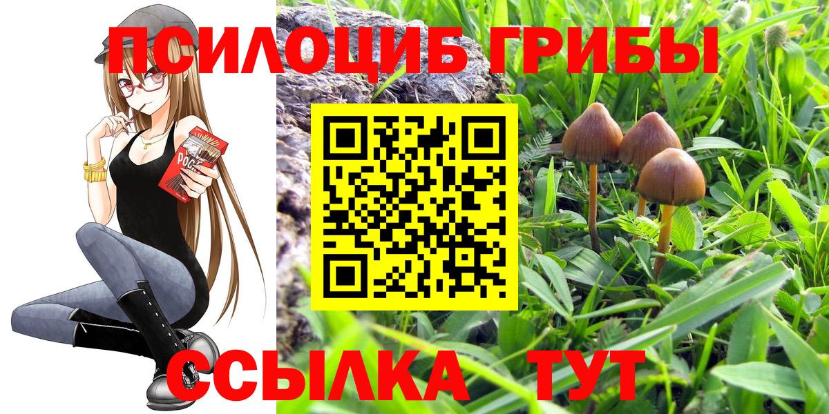 Коряжма  Галлюциногенные грибы Psilocybe  Псилоцибиновые грибы прущие грибы  Вход с VPN 