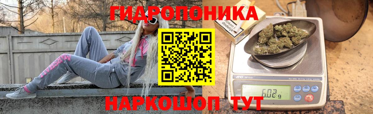 Шишки марихуана сатива  Вход с VPN  Бошки Шишки планчик  Коряжма 